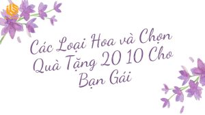 quà tặng 20 10 cho bạn gái