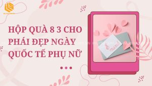 hộp quà 8 3