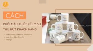 cách phối màu thiết kế ly sứ thu hút
